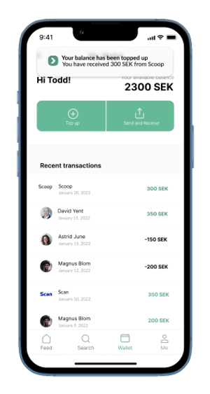 Website brand application
